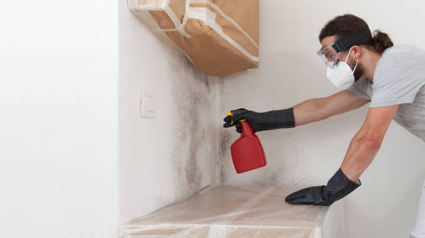 Professional Crawl Space Mold Remediation technician working in Morrisville, NC