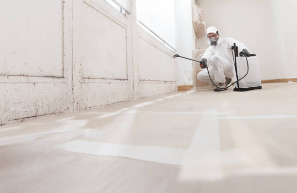 24/7 Emergency Crawl Space Mold Remediation experts in Morrisville, NC